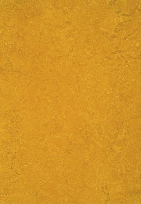Marmoleum Fresco Sheet Flooring Golden Sunset