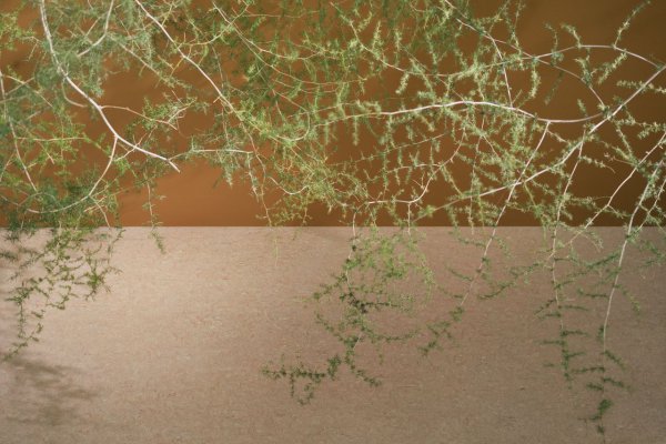 Marmoleum Terra Sheet Flooring Pink Granite - Image 3